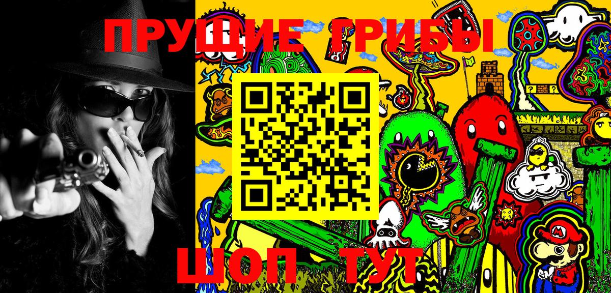Ростов Великий  Псилоцибиновые грибы Magic Shrooms  Вход с VPN  Псилоцибиновые грибы Magic Shrooms 